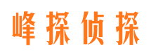 文县侦探